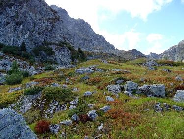 Alpage du Ferrouillet : choisi ton chemin !