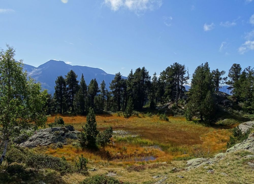 TourbiÃ¨re, Lac Achard