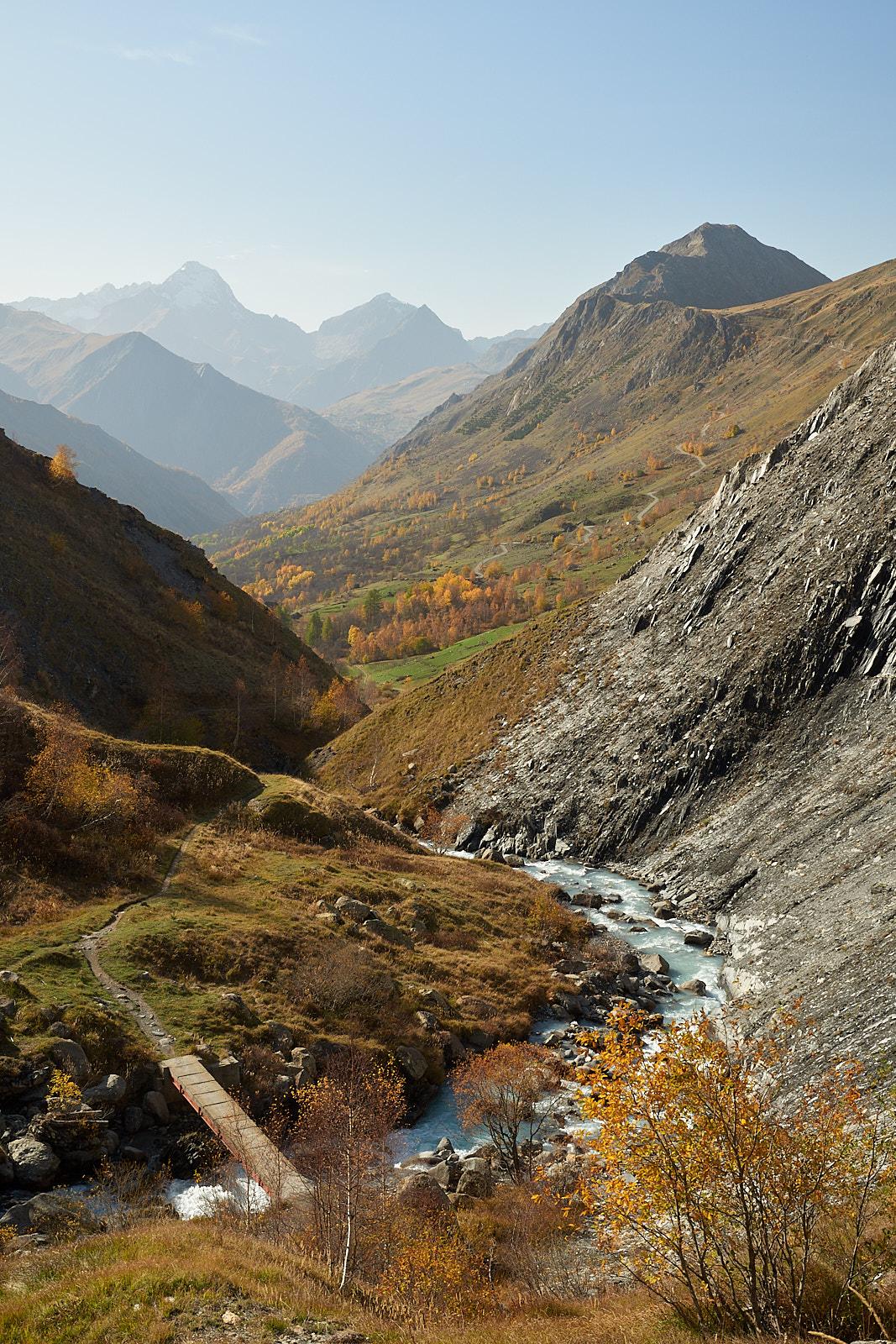 DSC_8258 20221028 103622 C1