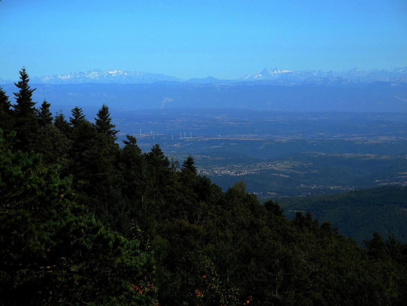 Du haut de la Roche du Loup