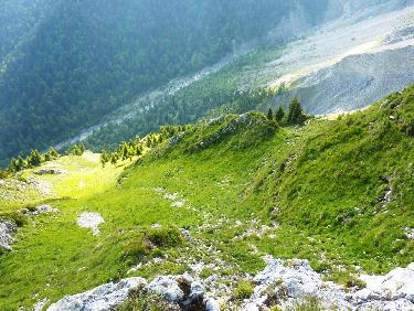 Du haut du goulot, vue sur les lignes fuyantes du bas