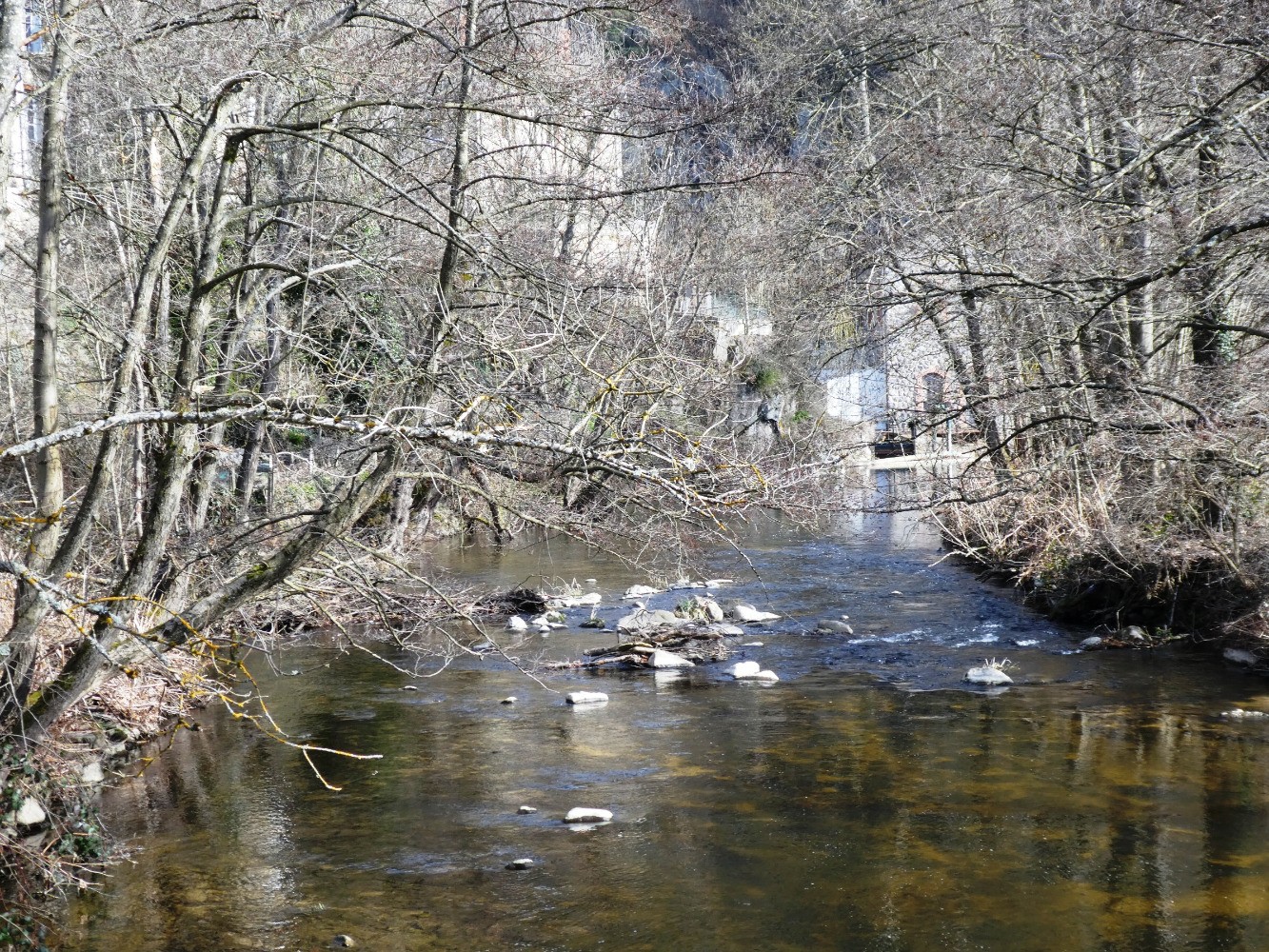 La SemÃ¨ne du pont de la Roche