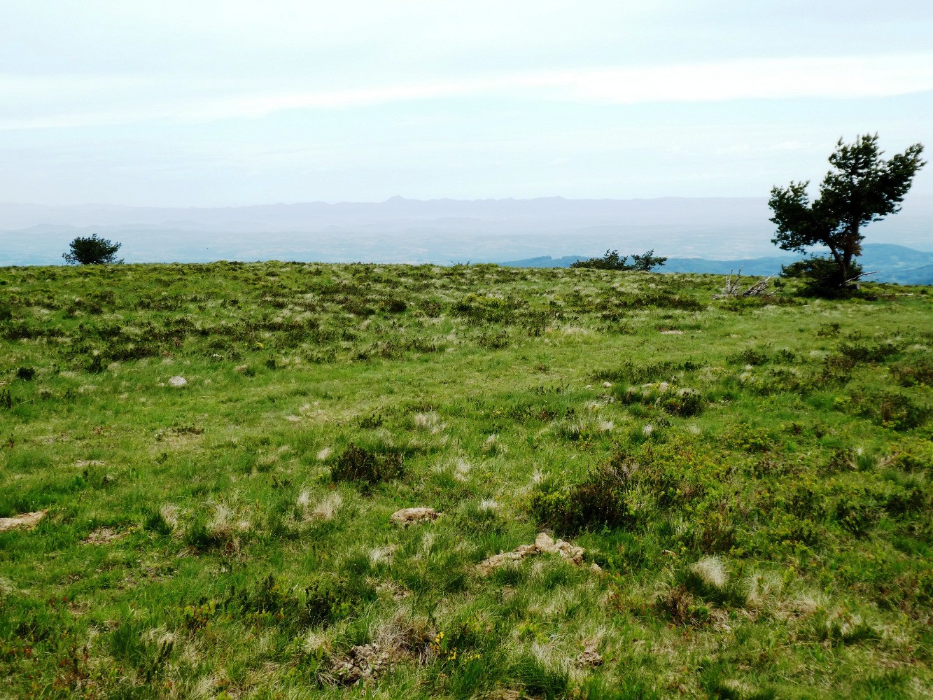 Du Puy Gros vers le Puy-de-Dôme et la chaîne des Puys