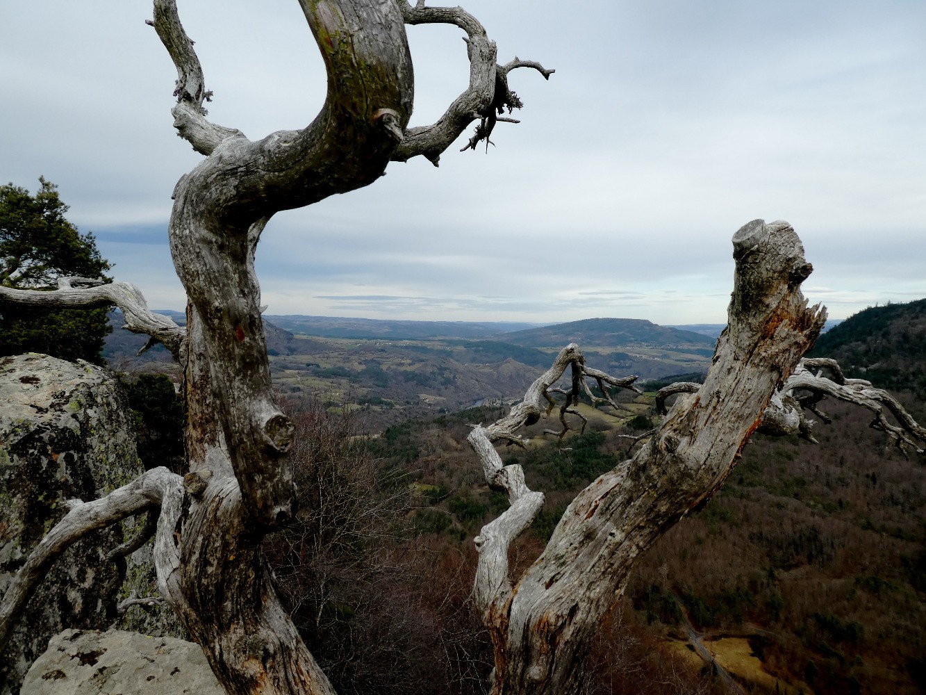 Du Rocher de Costaros vers ChamaliÃ¨res et la Loire