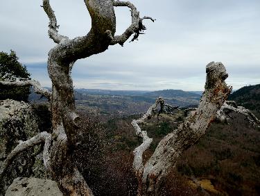 Du Rocher de Costaros vers ChamaliÃ¨res et la Loire