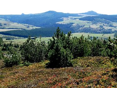 Du sommet, de G Ã  D : Gerbier de Jonc, Sucs de Taupernas et de Montfol