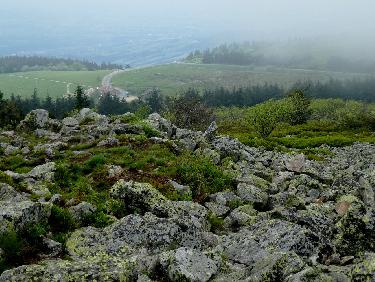 Du sommet de la Perdrix vers la Jasserie