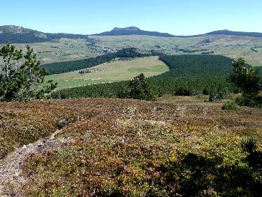 Du sommet, de G Ã  D : Alambre, les Estables, MÃ©zenc et Rechausseyre, Chaulet