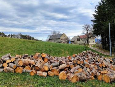 Du bois pour l’hiver