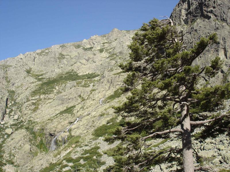 du départ, la face de montée