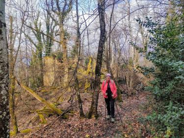 Du sapin dans les suspentes !