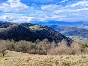 Du sapin dans les suspentes !