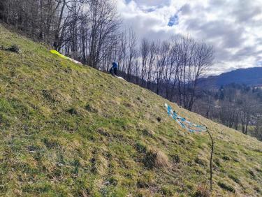 Du sapin dans les suspentes !