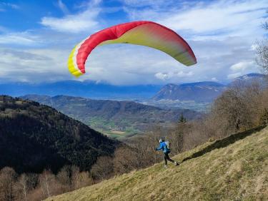 Du sapin dans les suspentes !