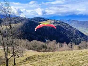 Du sapin dans les suspentes !