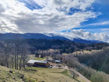 Du sapin dans les suspentes !