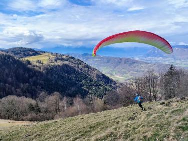Du sapin dans les suspentes !