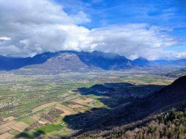 Du sapin dans les suspentes !