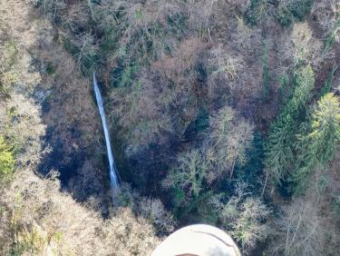 Du sapin dans les suspentes !