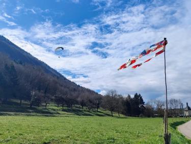 Du sapin dans les suspentes !