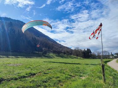 Du sapin dans les suspentes !