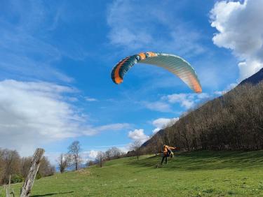 Du sapin dans les suspentes !