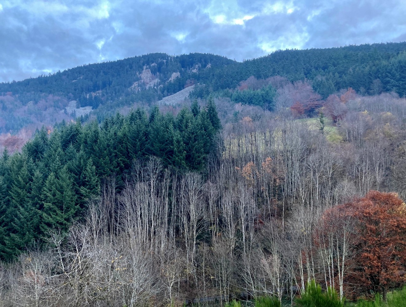Du Sardier, chirats et rochers du Saut du Gier