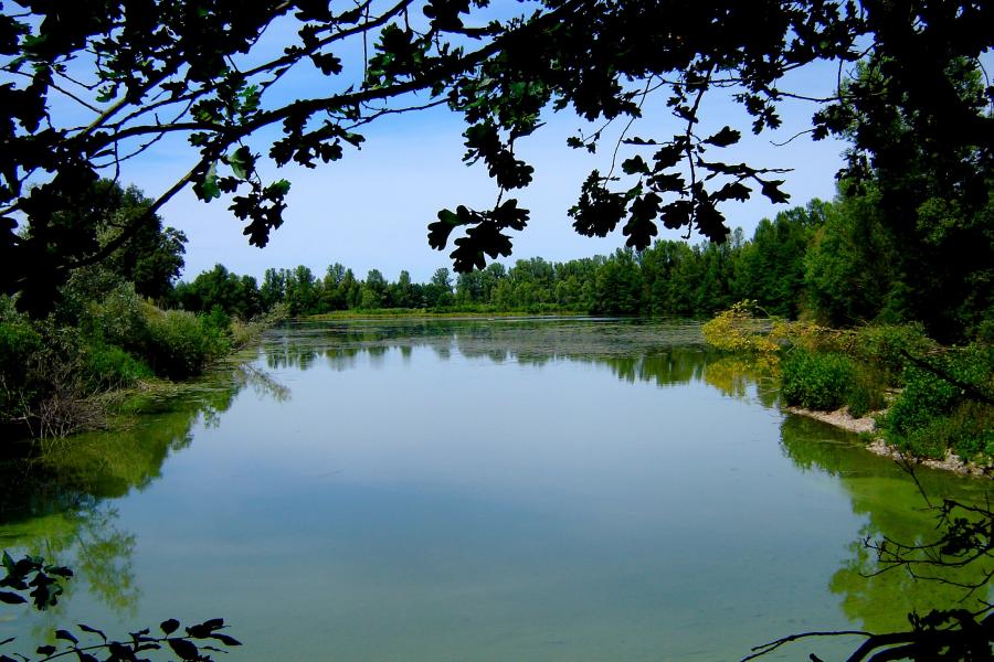 Ecopôle du Forez