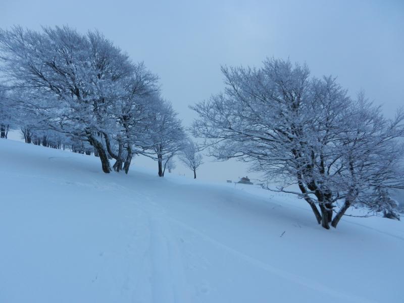 En direction du Kastelberg