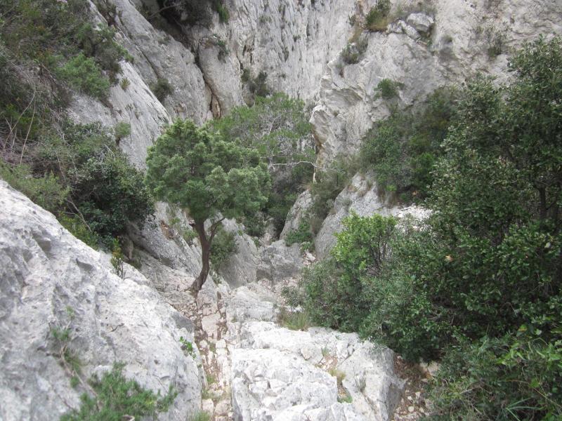 En haut du pas du Pin