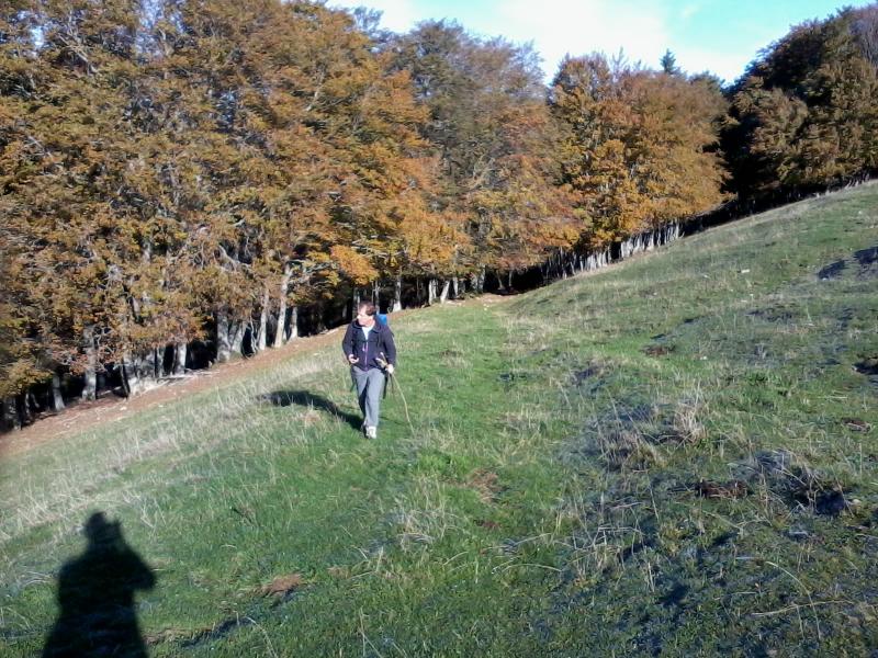 En marchant sur le sentier séculaire