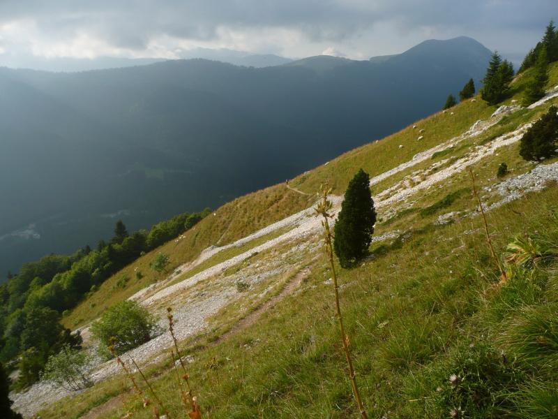 En montant le soleil brille encore un peu