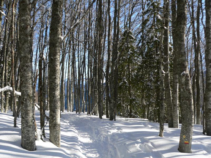 En montant vers Plénom