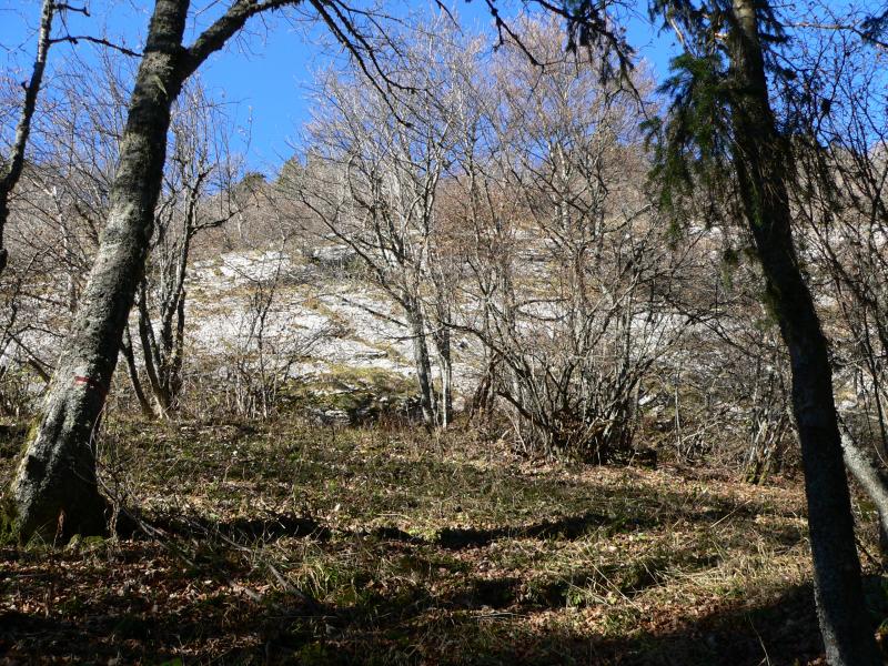 En montant vers la falaise