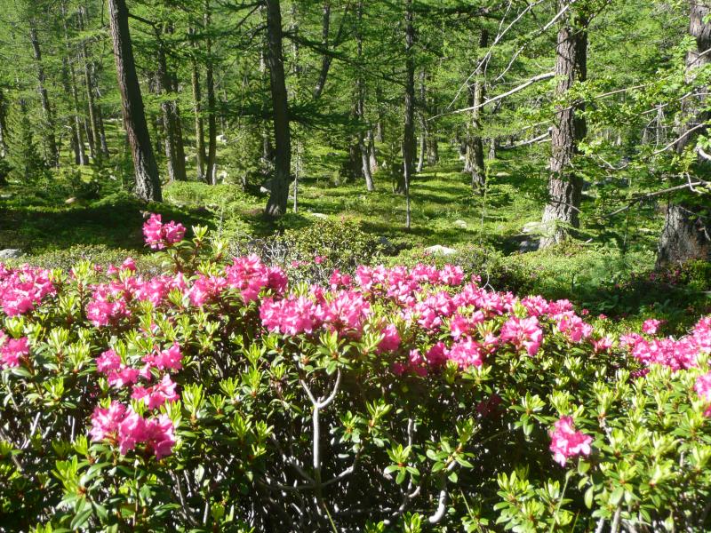 En montant vers le Camp Soubran