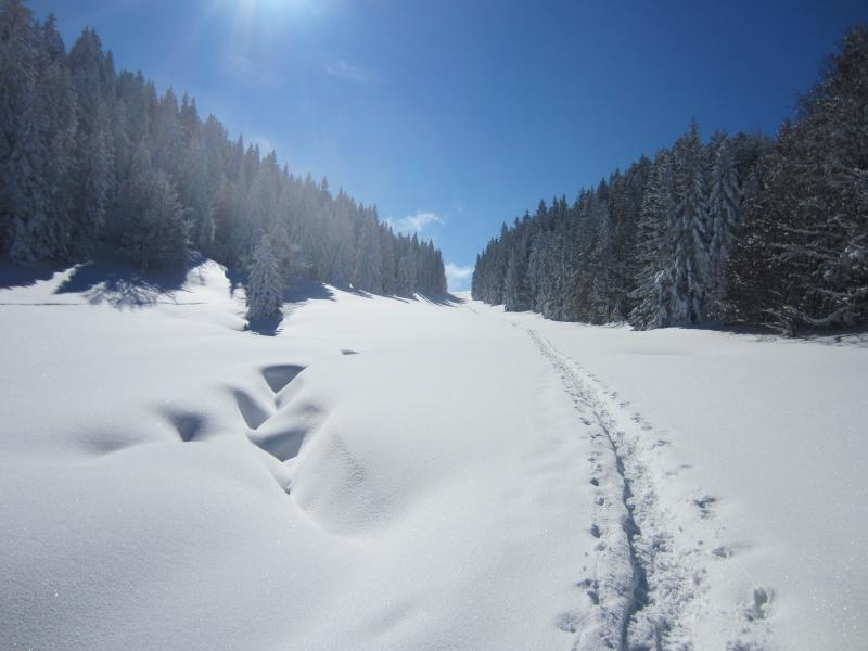 En route vers le col par la prairie scintillante!