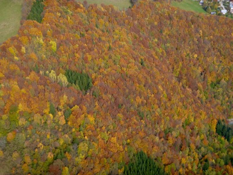 En voila des couleurs d automne