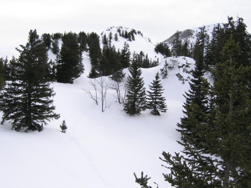 En vue du sommet