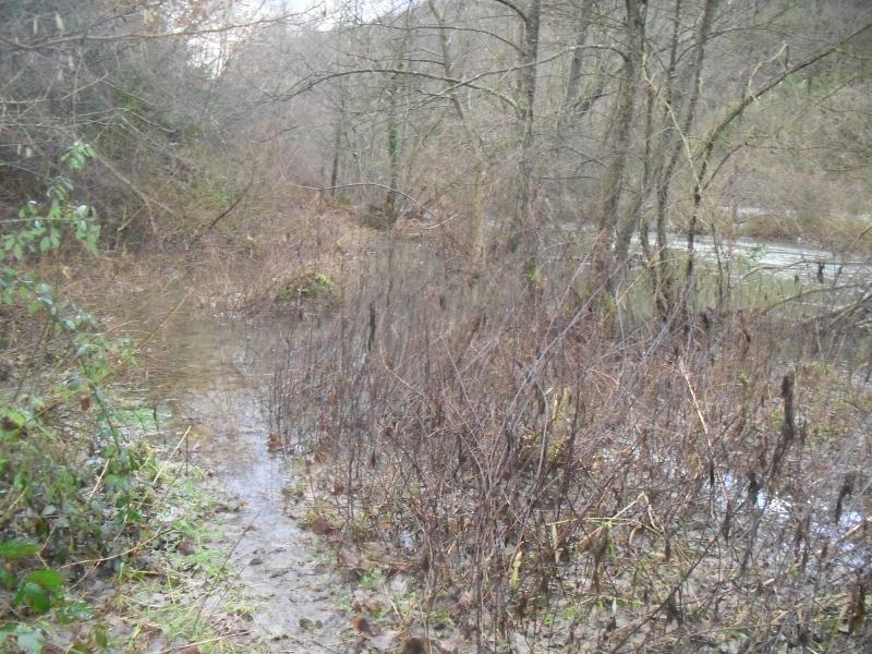 Encore plus d'eau 3 jours après!!