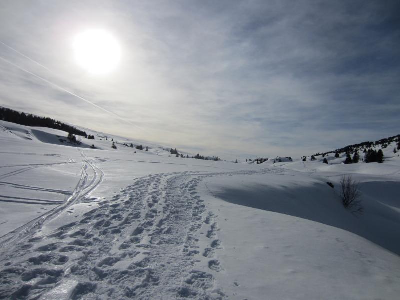 Enfin les alpages, 3h de soleil au programme