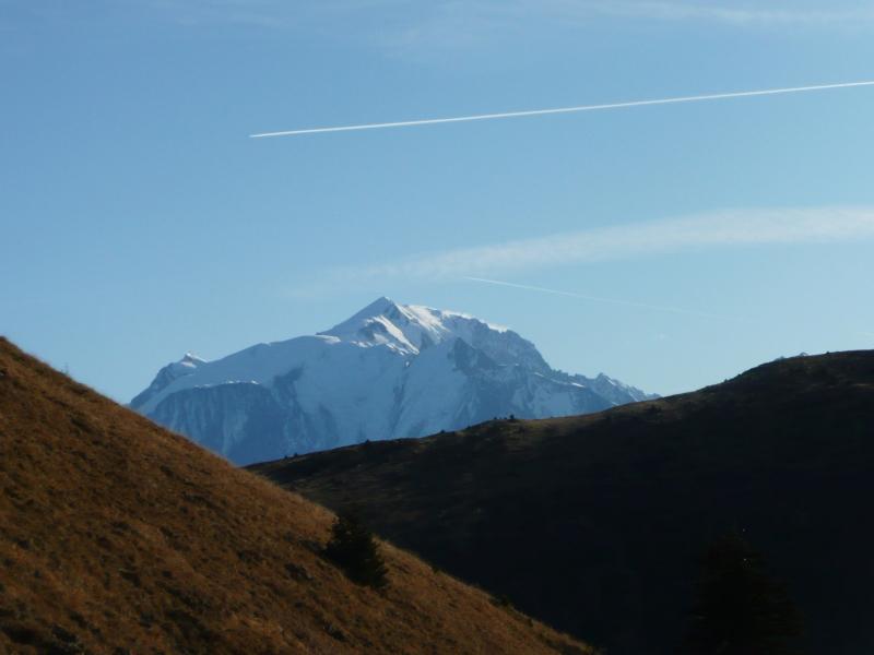 Entre les Croisses, le mastard