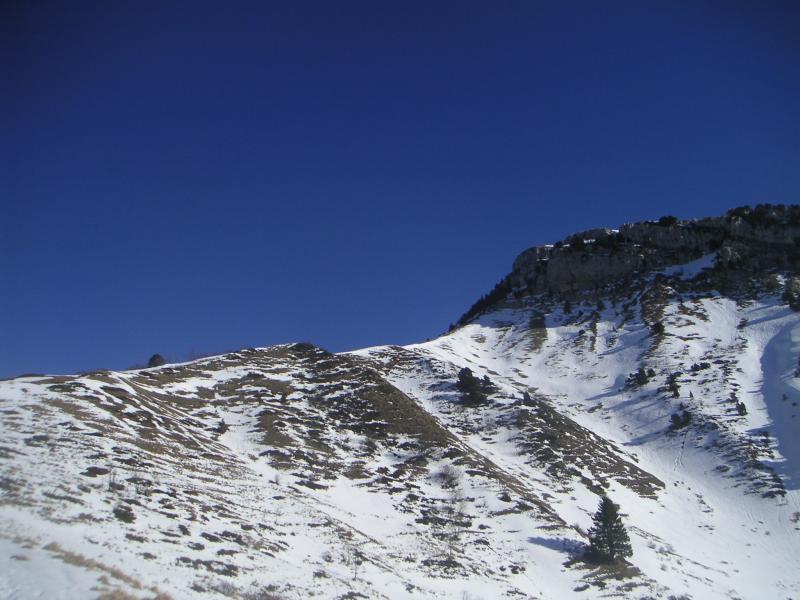 Entre neige et herbe