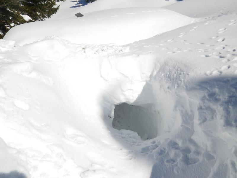 Entrée de la Cabane