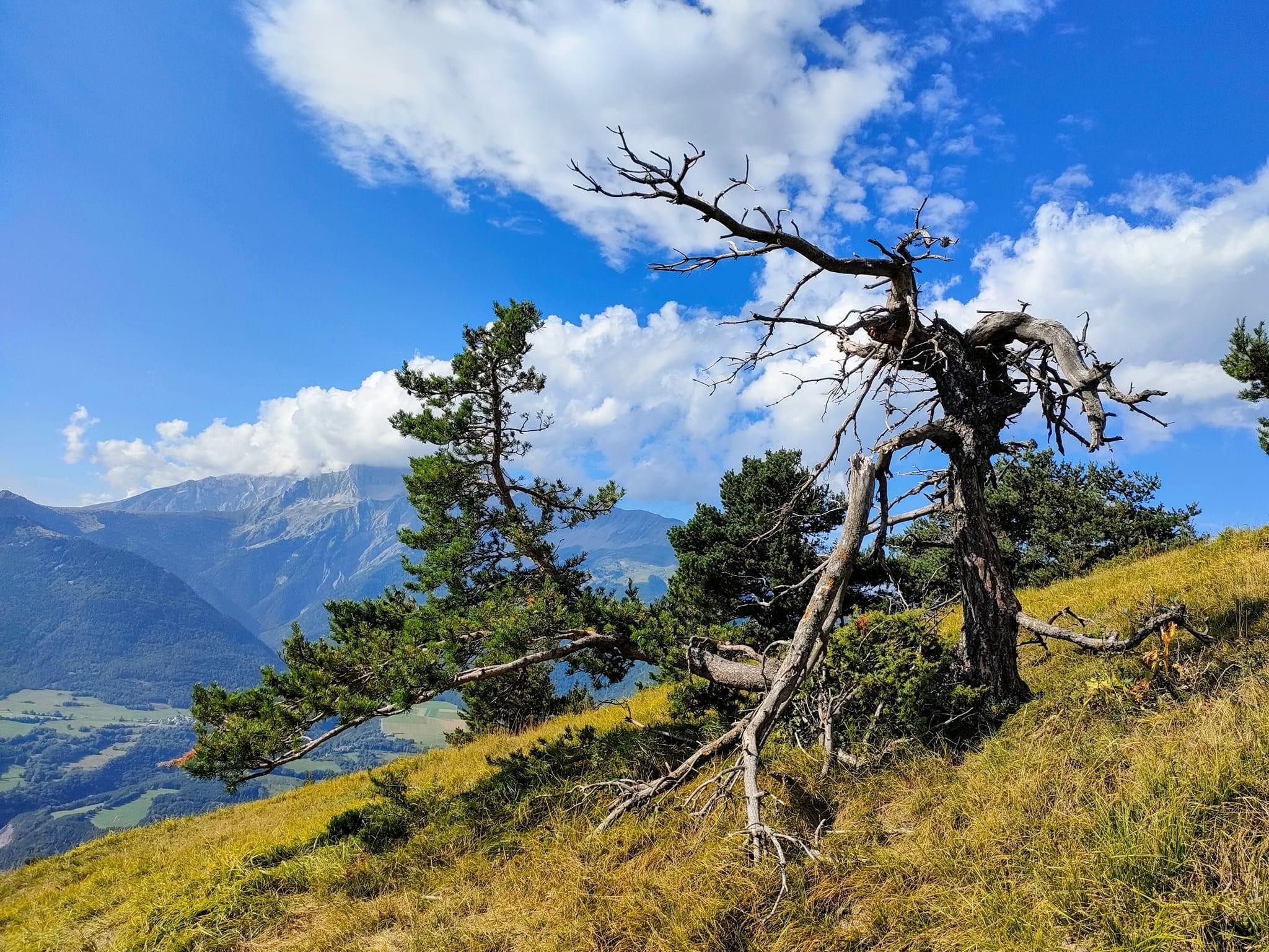Échec sur la butte…