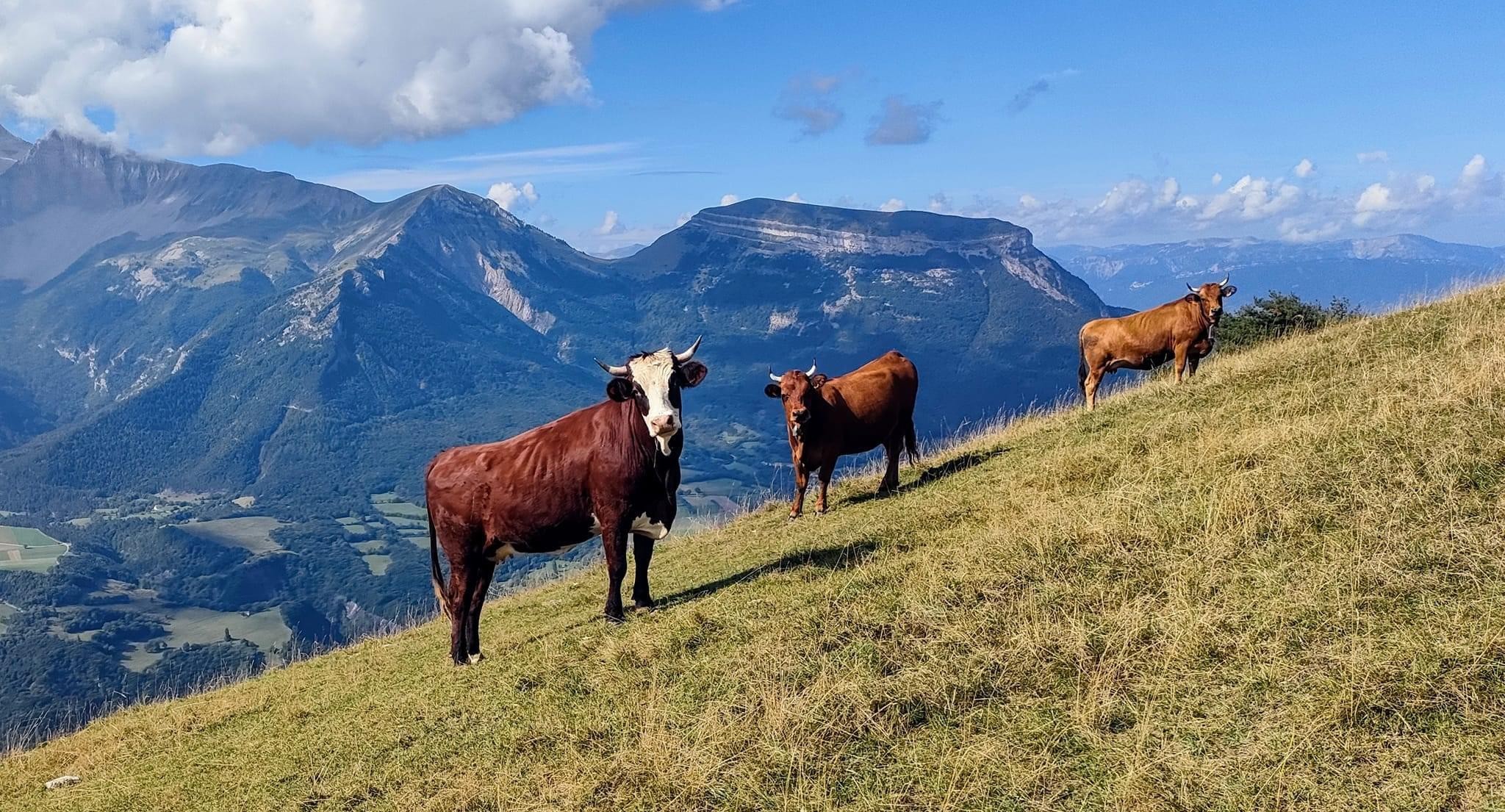 Échec sur la butte…