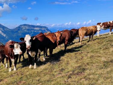 Échec sur la butte…