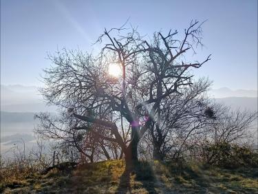 En l'air avec les champions à Montlambert