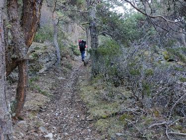 en avril ne te découvre pas d&apos;un fil