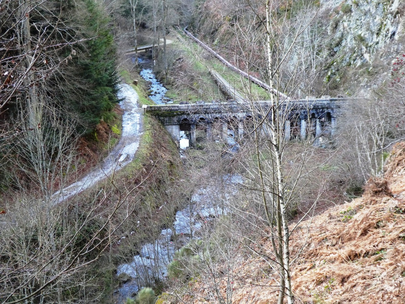 En bas (sentier rive gauche, Furan, vieux pont de la Ventellerie, canal de dÃ©rivation, conduite forcÃ©e)
