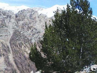 en face du mont guillame